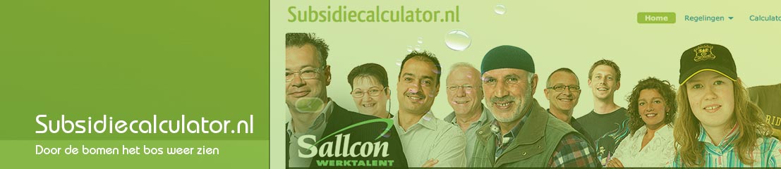 Subsidiecalculator